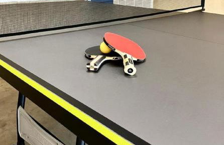 The Texas Bluebonnet Home in Historic McKinney - Foto 31