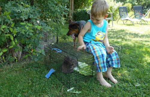 Familienferienhof Sell´s Scheune - Foto 25