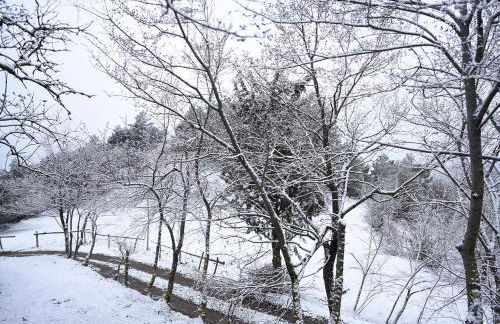 La Pegatera Masia rodeada de bosque ideal para desconectar - Photo 66