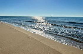 Aloha Studio &SPA en bordure de garrigue - Foto 27