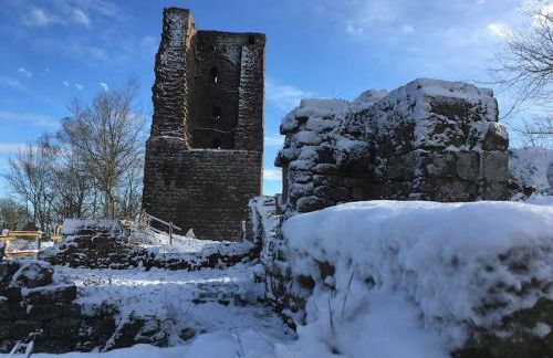 Gîte La Tour des Remparts Pool & Jacuzzi - Foto 64