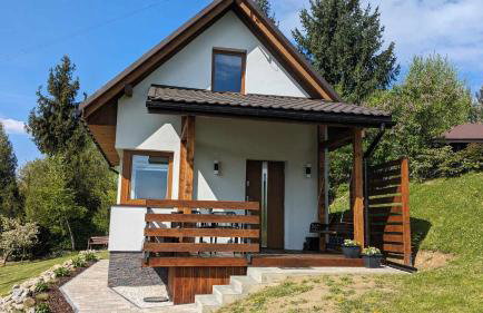 Cichata - domek w Bieszczadach - Foto 2