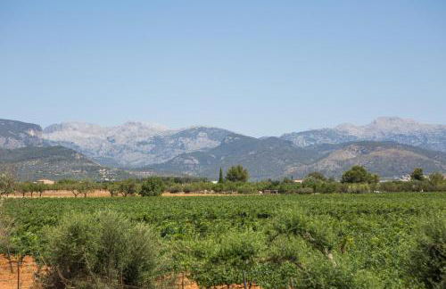 Ca n Canastro in Consell - Foto 66