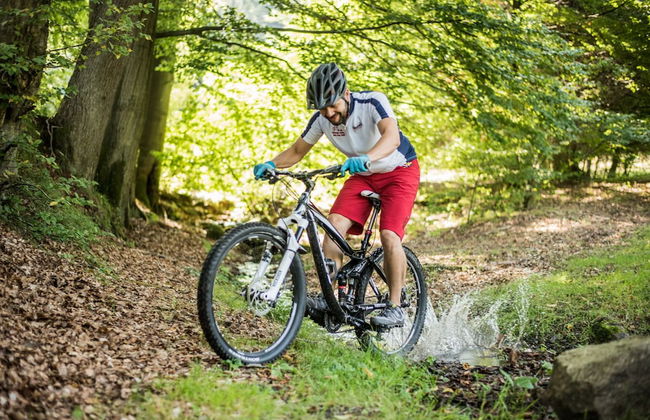 Ferienhaus Lichtung - Photo 38