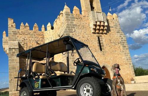 Casa Do Mestre Lau - Foto 28