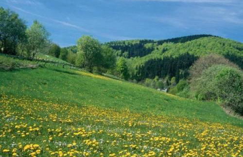 Charmantes Refugium mit 2 Schlafzimmern - Foto 35