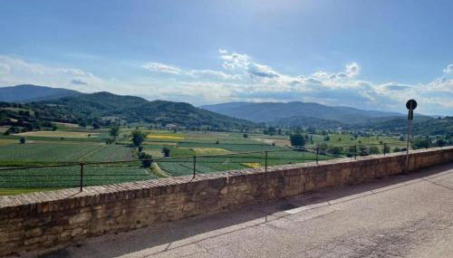 Casa Pifaro - Foto 2