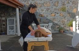 Quinta Peixinho RC DT - Foto 43