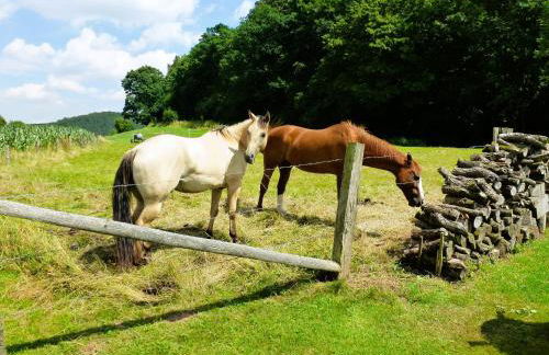 Ferienwohnungen MAXIMA - Foto 21