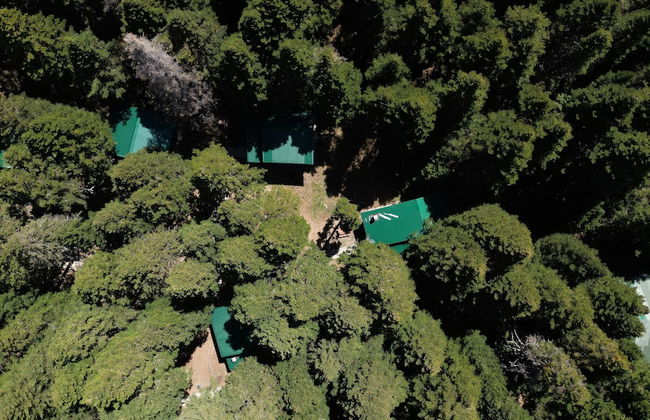 Karinna Forest Houses - Foto 52