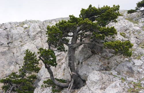 Tana Libera Tutti 3 Nature, Yourself, Love - Foto 30