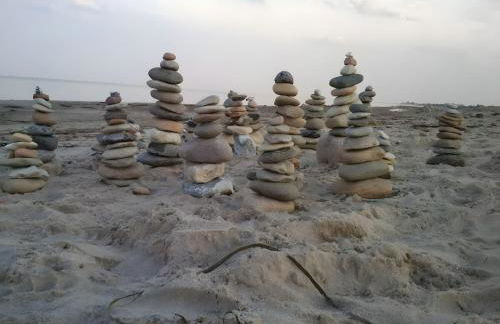 Ferienhaus Ferienhof Behnke - Foto 19