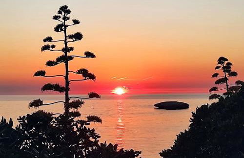 i giardini di Ailobran - Foto 27