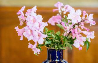 Kiko, the Coastline house - Foto 12