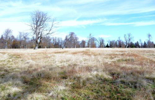 Ferienhaus Breit - Foto 16