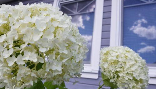 Ferienhaus Seele an der Müritz - Foto 2