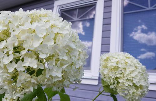 Ferienhaus Seele an der Müritz - Foto 2