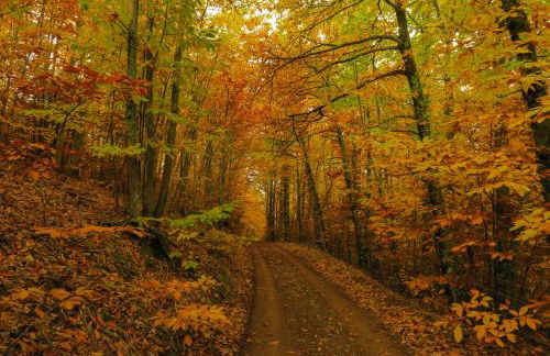 MIRADOR DE LAS VILLUERCAS - Photo 51