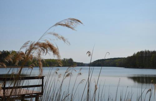 Dworek nad Jeziorem Wądzyn - Foto 40