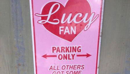 Lucy Fan Ohana - Photo 5