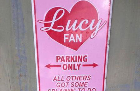 Lucy Fan Ohana - Photo 5