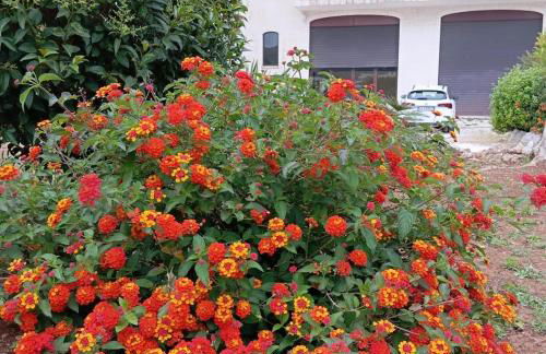 La Mery Giò House - Fasano - Foto 38