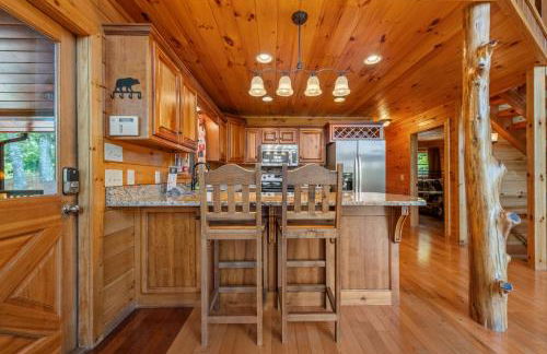 Mountain High Lodge - Mineral Bluff GA - Foto 13