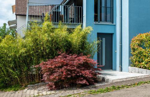 Blauer Seestern - Foto 4