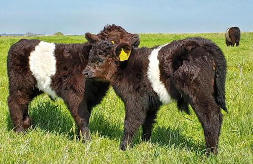 1 Bed in Beccles oc-90132 - Photo 25