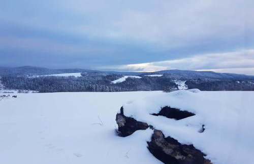 Jabłoniowy Sad Kalwaria Pacławska - Foto 46