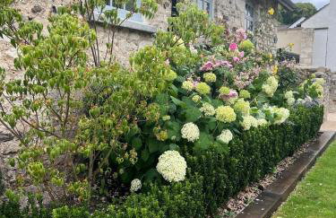 Starre Barn - Foto 21