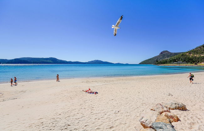 Pinnacle Apartments Hamilton Island - Foto 21