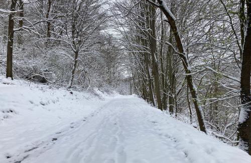 Ferienhaus EifelOne - Panorama - Foto 45