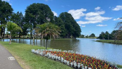 Apartamento Viver Bosque - Foto 5