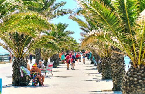 Apartment Lemon Tree - Foto 45