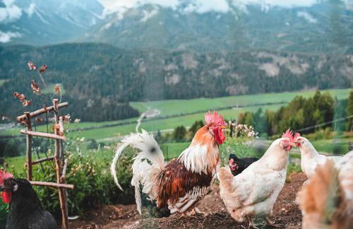 Kerschbaumhof - Foto 40