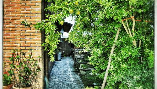 La Corte del Macero - Foto 4