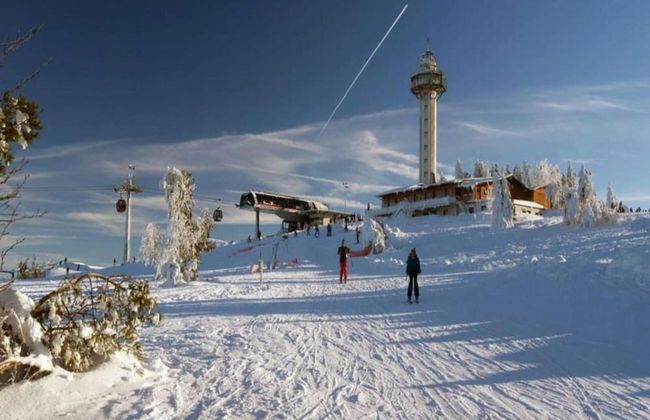 Wohnung in der Nahe des Skigebietes in Diemelsee - Photo 31