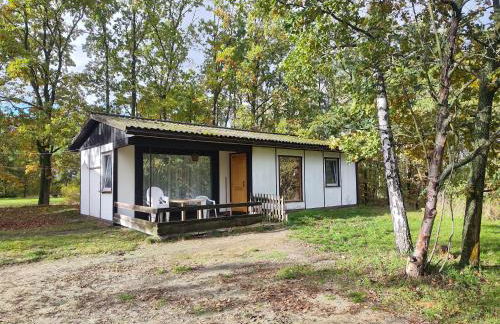 Kleine Freiheit Nummer 3 - Foto 1