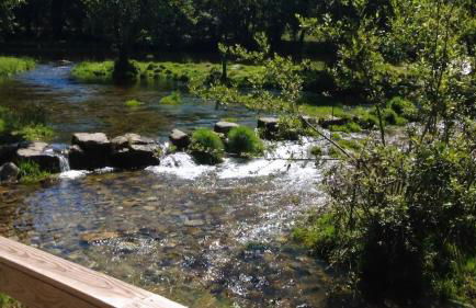 Casa da Avó - Foto 68