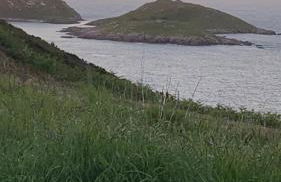 Malpica Vistas - Photo 6