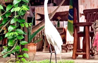 Pousada Chalé na Roça Penedo - Photo 1