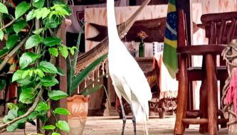 Pousada Chalé na Roça Penedo - Foto 1