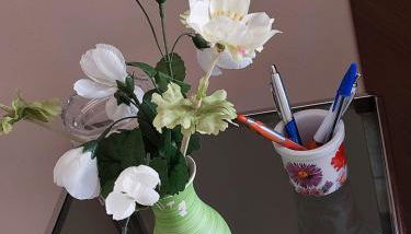 Una Rosa Blu - Foto 2