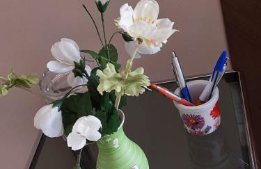 Una Rosa Blu - Foto 2