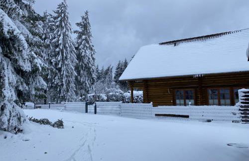 Blockhaus Rennsteig - Foto 40