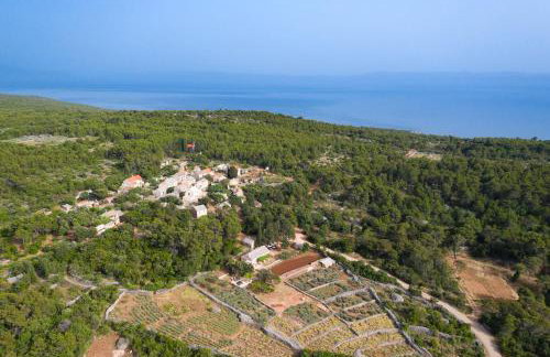 Holiday house with a parking space Humac, Hvar - 8805 - Photo 32