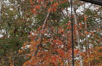 Staghorn | Modern Lux Mirror Home | HotTub & Woods - Foto 9