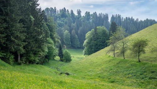 Schreinerhäusle nähe Titisee - Foto 5