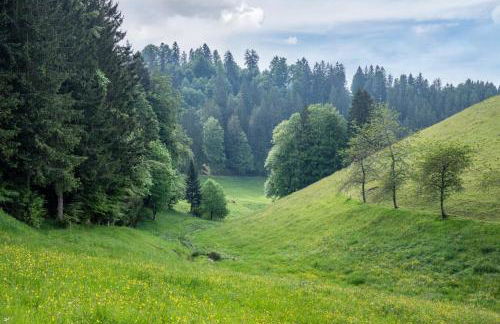 Schreinerhäusle nähe Titisee - Foto 5